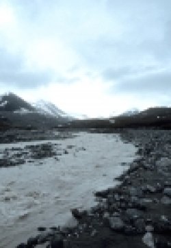 画像2: グレーシャー リバー Glacier River